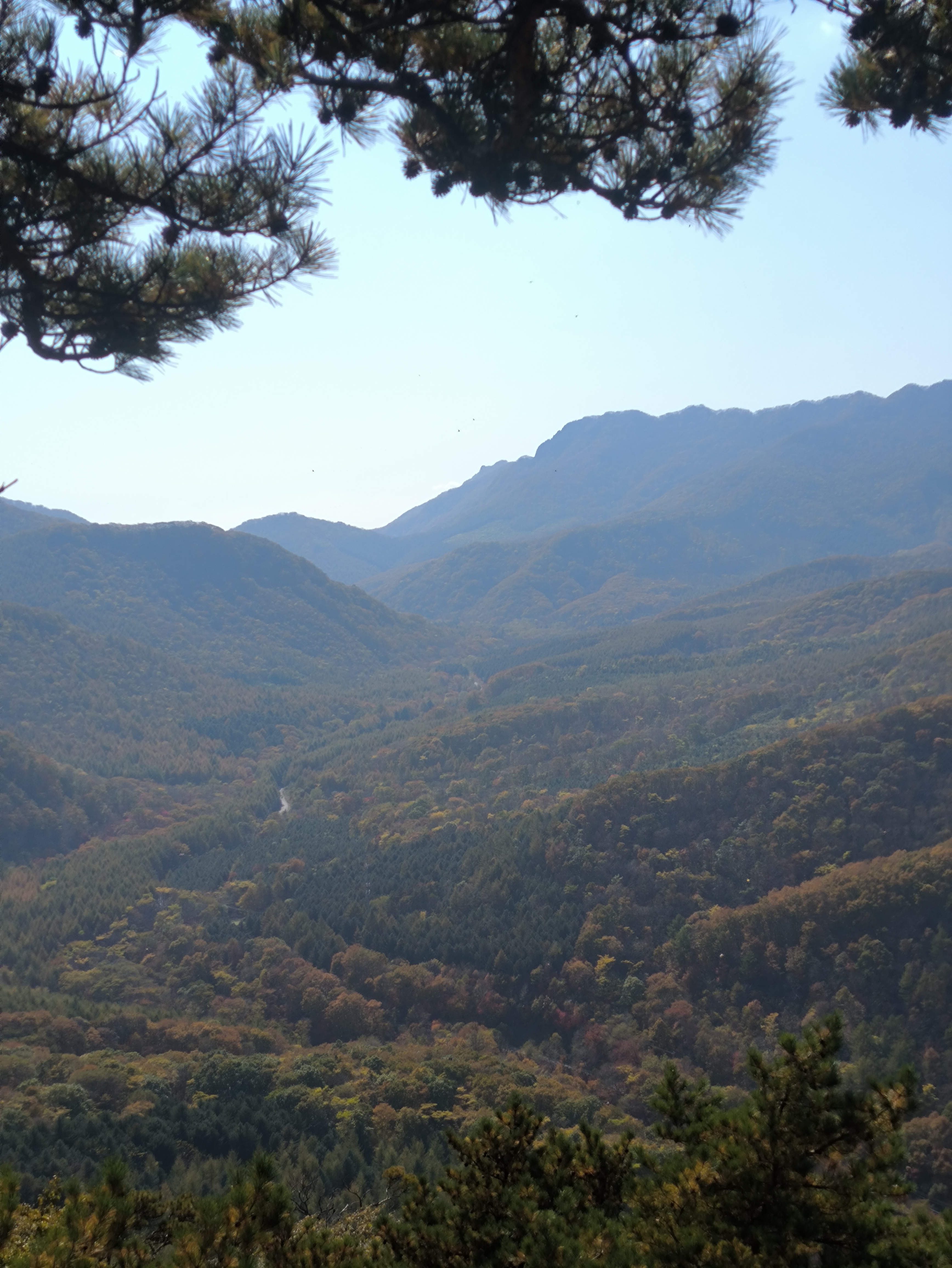 IMG_20251014_122858.jpg